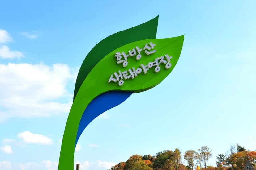 황방산생태야영장 사진 4
