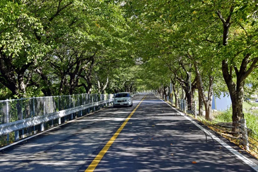 황산문화체육공원 국민여가캠핑장 사진 13