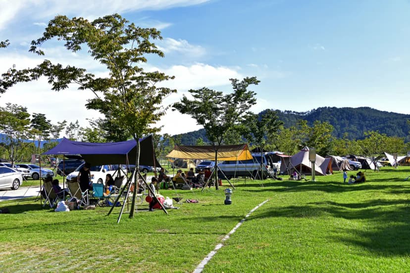 황산문화체육공원 국민여가캠핑장 사진 15