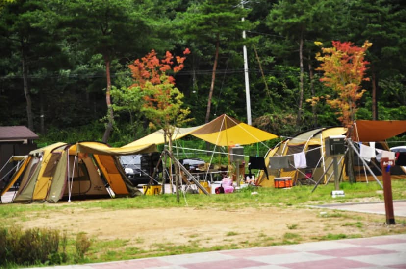 횡성군 병지방 오토캠핑장 사진 7