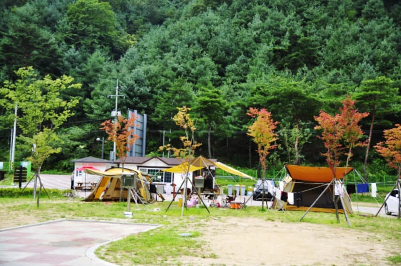 횡성군 병지방 오토캠핑장 사진 8
