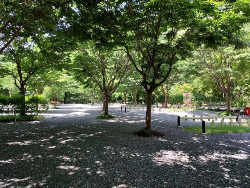 횡성산울림오토캠핑장 사진 3