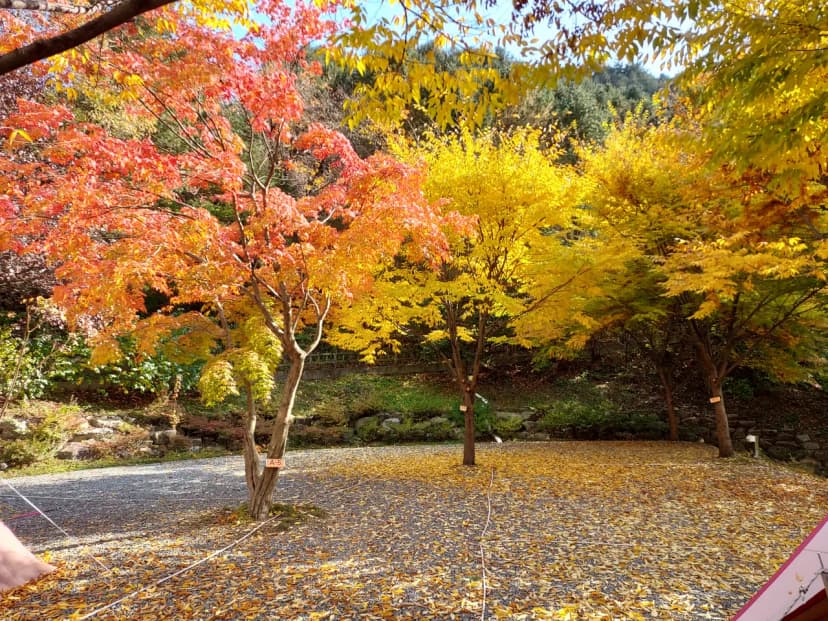 횡성산울림오토캠핑장 사진 5