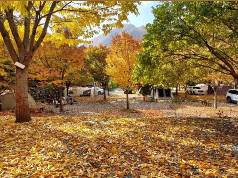 횡성산울림오토캠핑장 사진 6