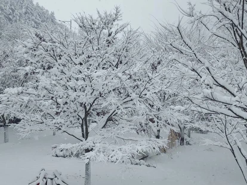횡성산울림오토캠핑장 사진 7