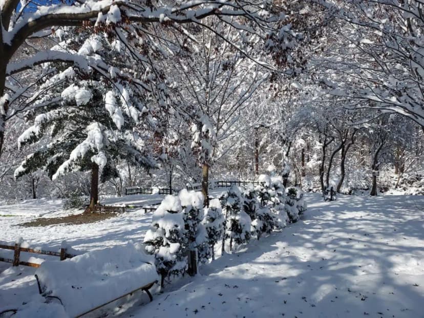 횡성산울림오토캠핑장 사진 10