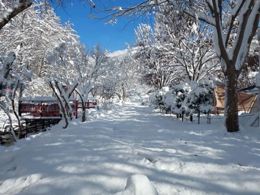 횡성산울림오토캠핑장 사진 14