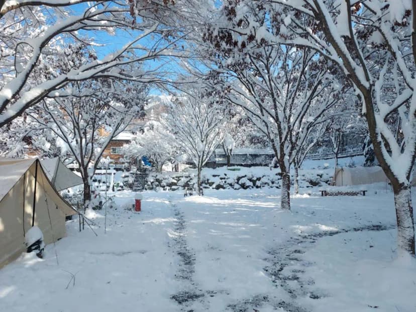 횡성산울림오토캠핑장 사진 15