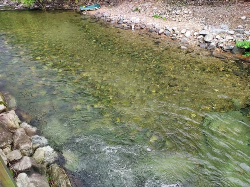 횡성산울림오토캠핑장 사진 19