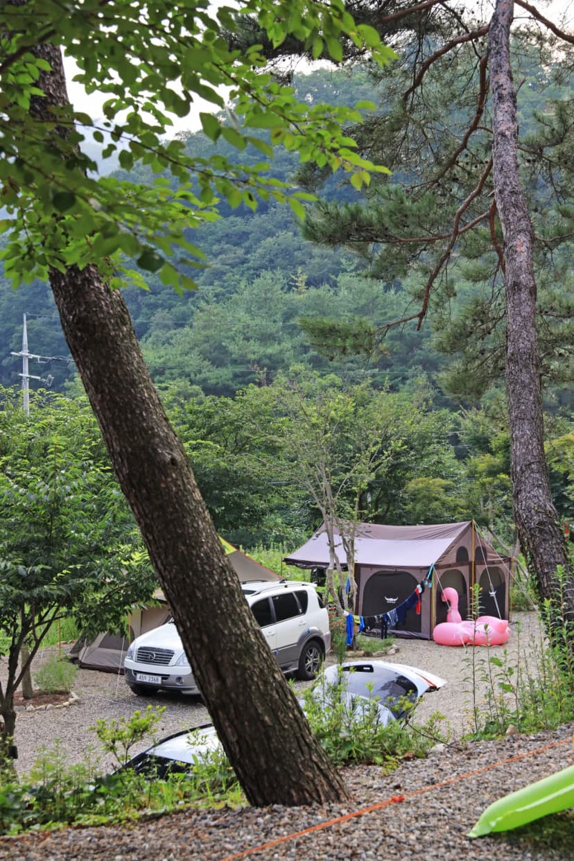 횡성초보캠핑장 사진 9