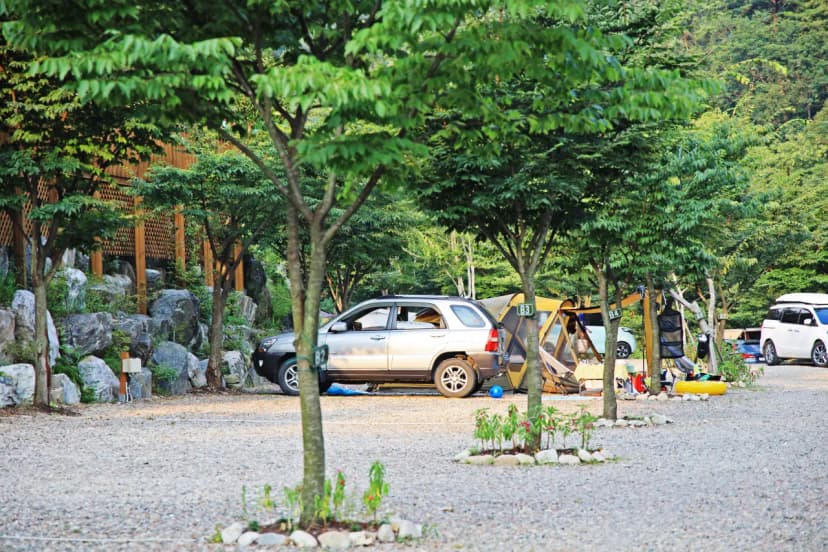 횡성초보캠핑장 사진 10