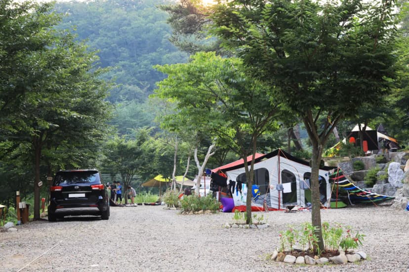 횡성초보캠핑장 사진 13