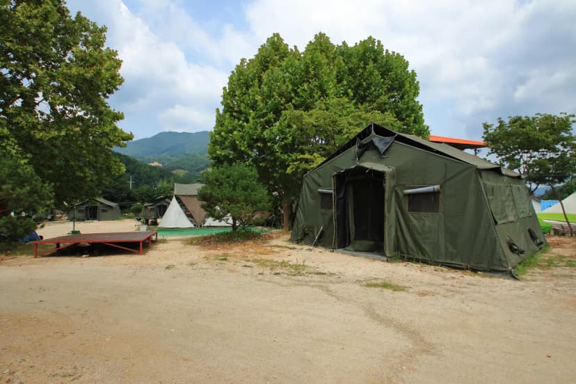 Camp 1950 by 민들레울 사진 10