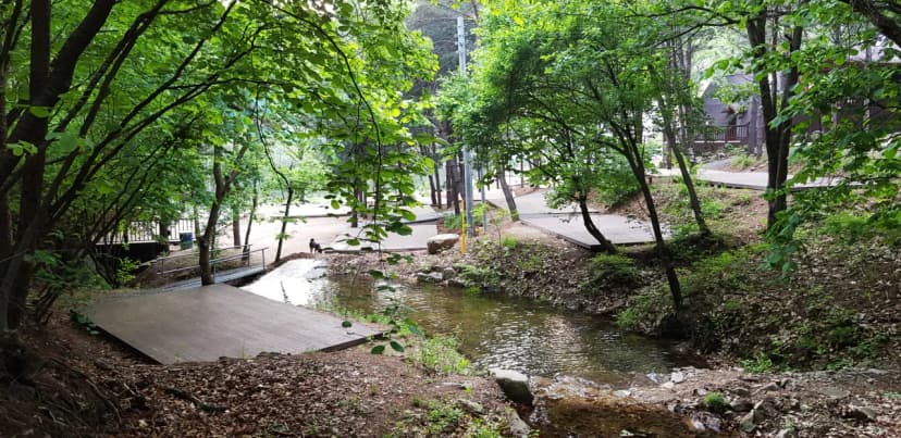 힐링스토리 사진 8