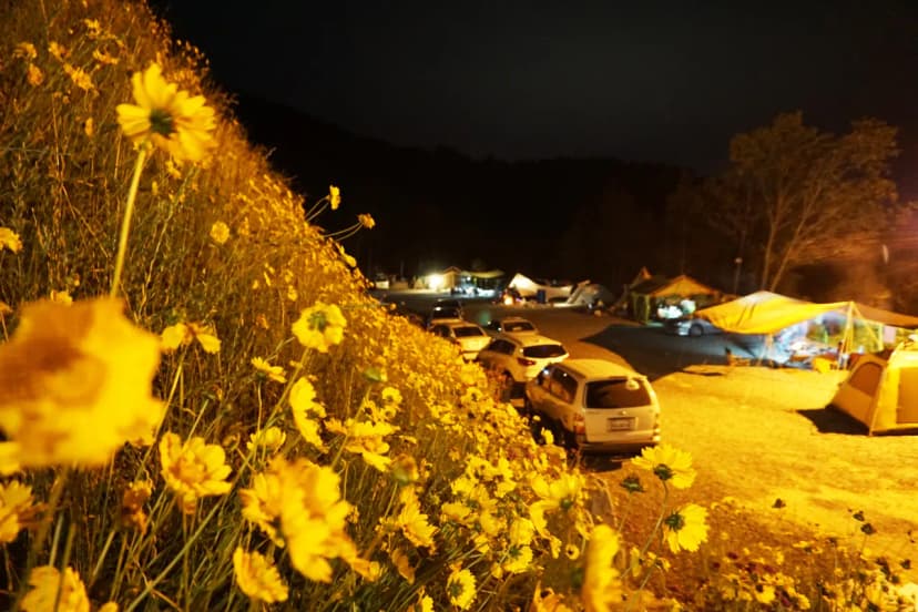 힐링스토리 사진 19