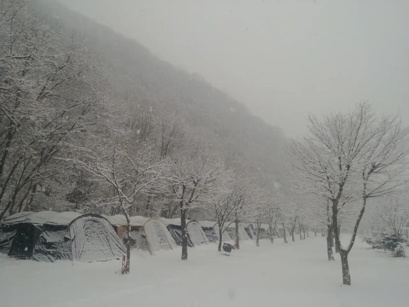 동상 힐링 캠핑장 사진 6