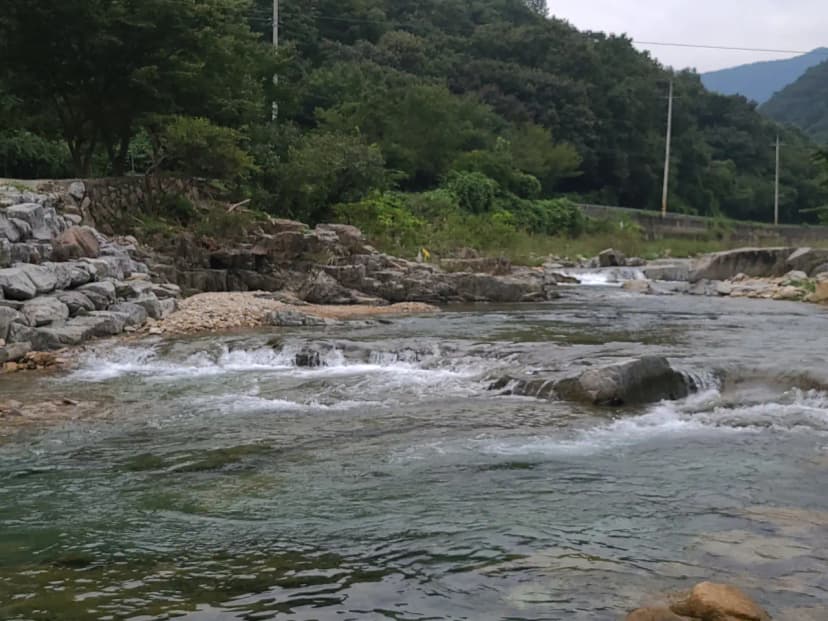 동상 힐링 캠핑장 사진 7
