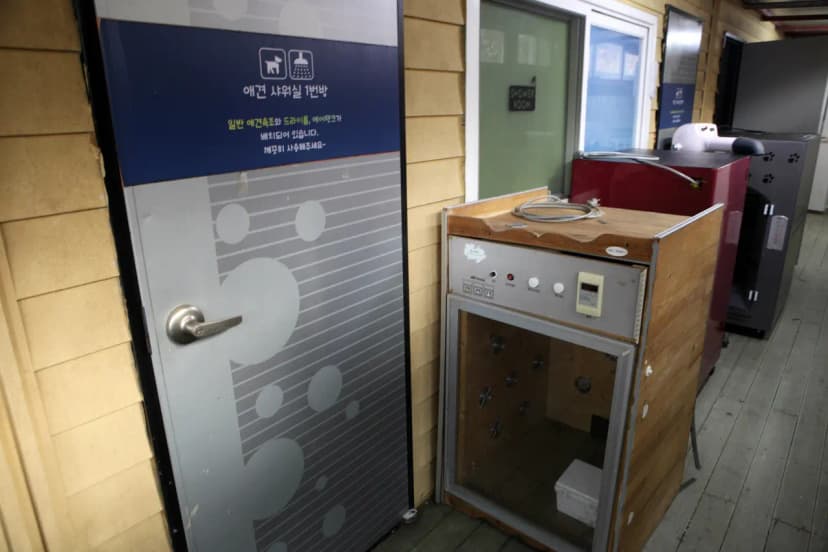 힐포인트 사진 19