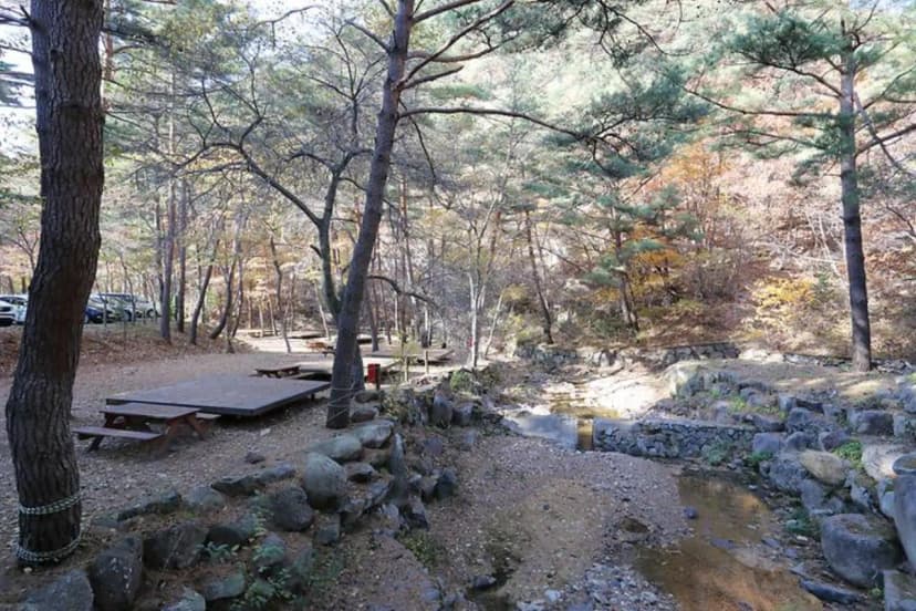 국림검마산자연휴양림 사진 2
