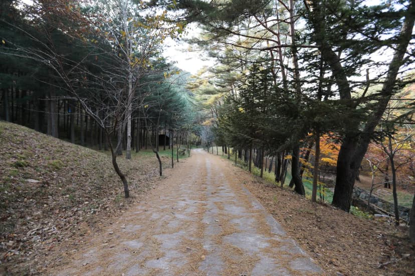 국림검마산자연휴양림 사진 4