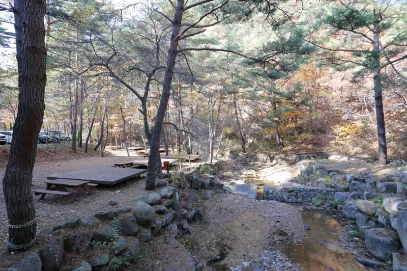 국림검마산자연휴양림 사진 13