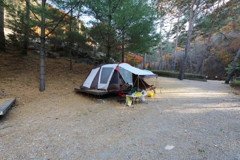 국림검마산자연휴양림 사진 15
