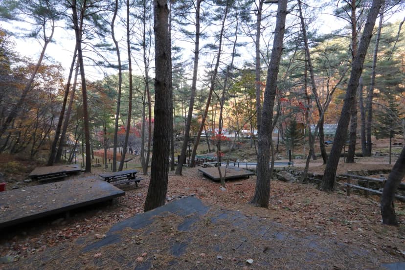 국림검마산자연휴양림 사진 16