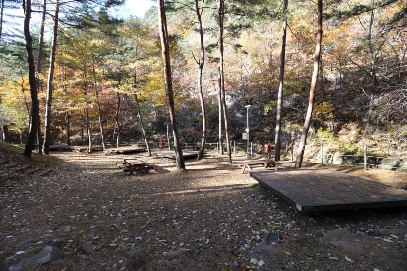 국림검마산자연휴양림 사진 18
