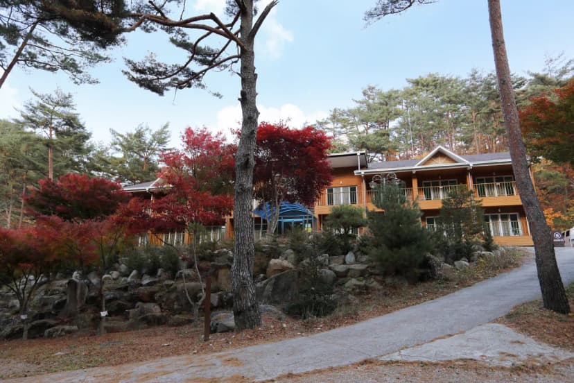 국림검마산자연휴양림 사진 21