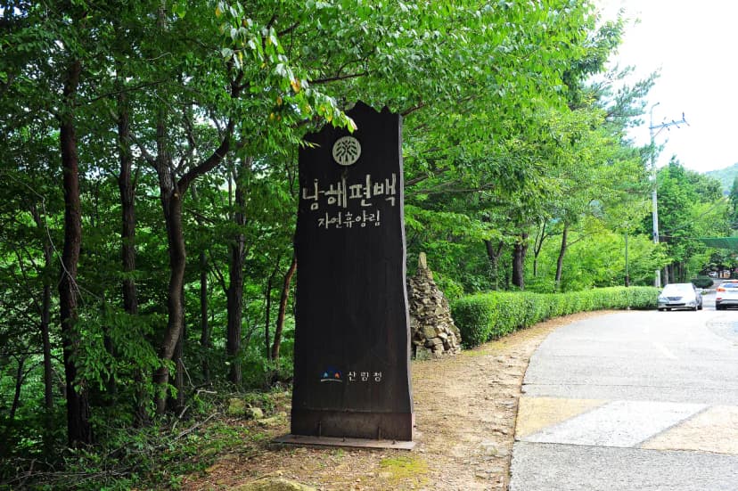 국립남해편백자연휴양림 사진 13