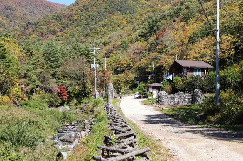 국립자연휴양림관리소 두타산자연휴양림 사진 14