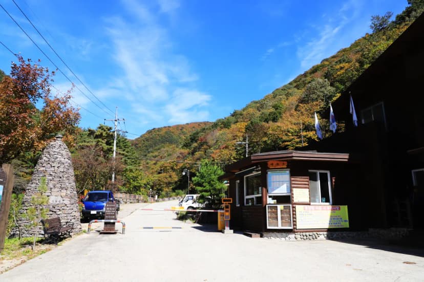 국립자연휴양림관리소 두타산자연휴양림 사진 15