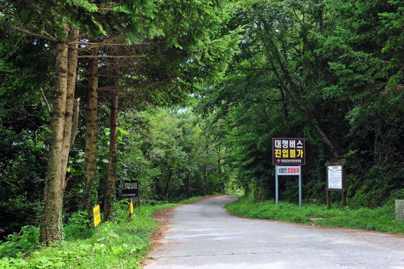 국립천관산자연휴양림 사진 13