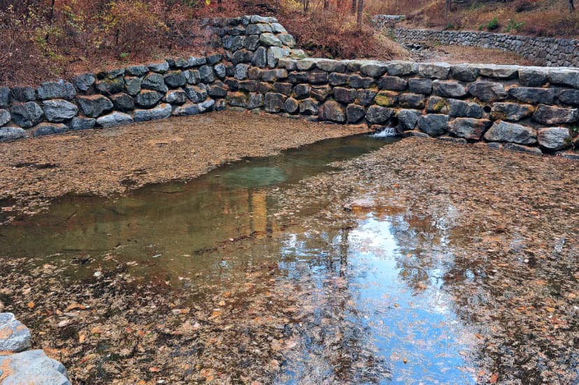 국립청옥산자연휴양림제1야영장 사진 7