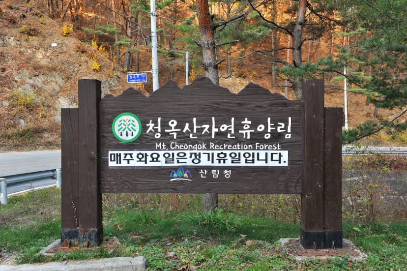 국립청옥산자연휴양림제1야영장 사진 11