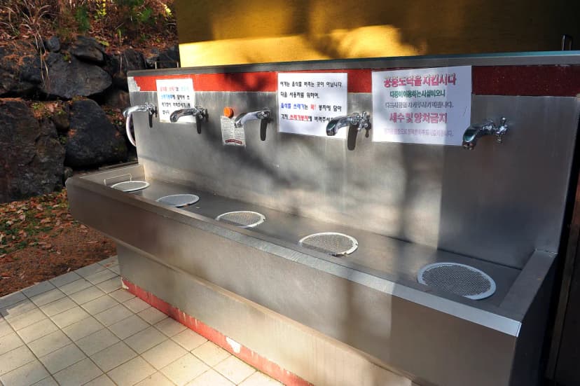 국립청옥산자연휴양림제1야영장 사진 20