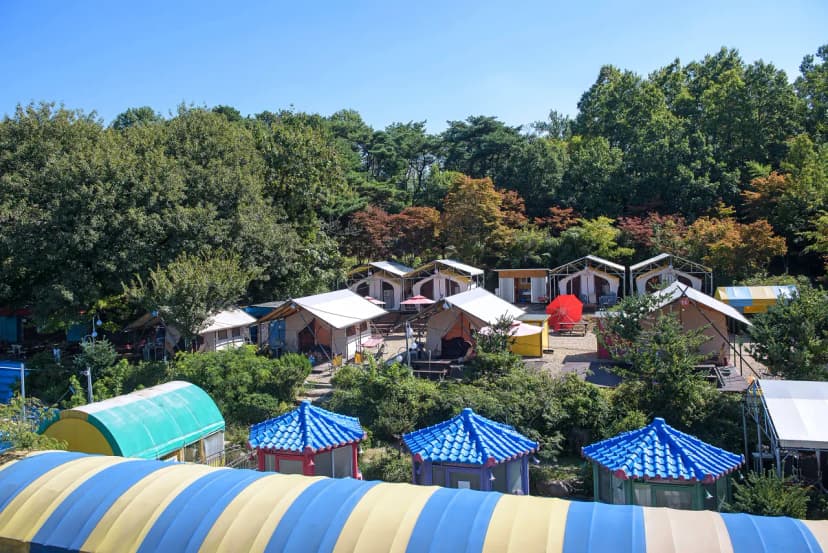 주식회사 디노 담양힐링파크 지점 사진 3