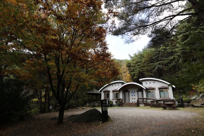 칠보산자연휴양림야영장 사진 10