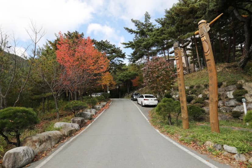 칠보산자연휴양림야영장 사진 12