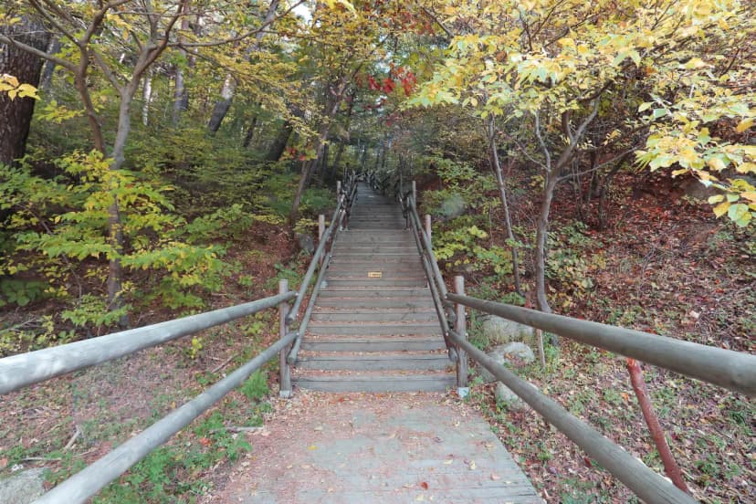 칠보산자연휴양림야영장 사진 13