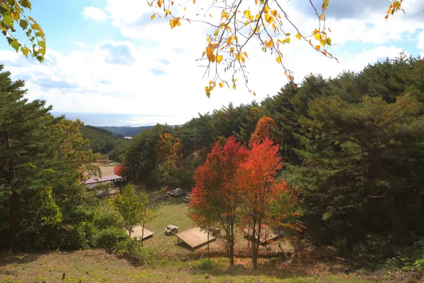 칠보산자연휴양림야영장 사진 14