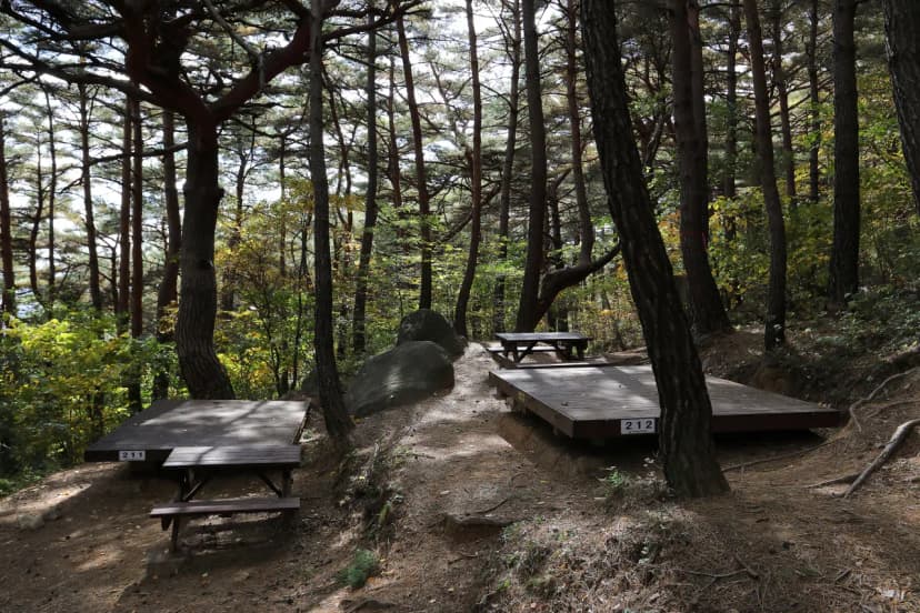 칠보산자연휴양림야영장 사진 15