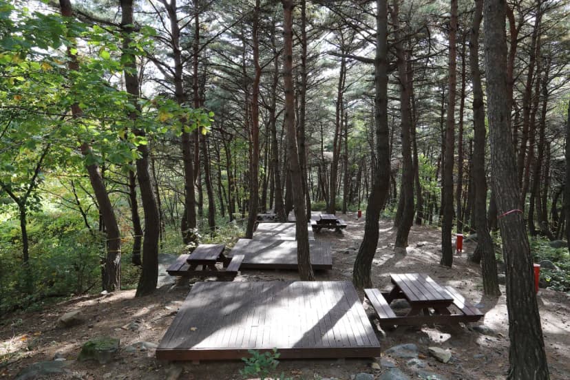 칠보산자연휴양림야영장 사진 17
