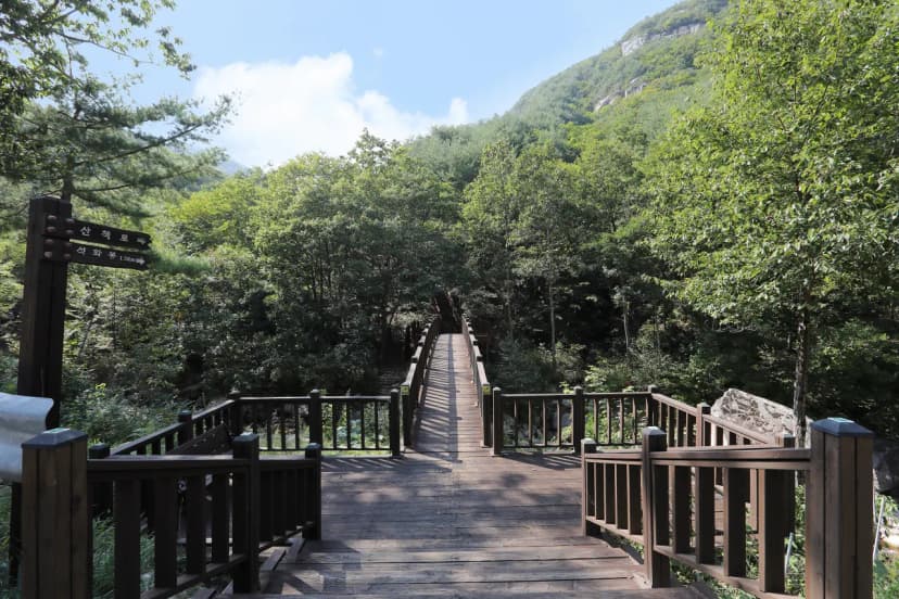 국립황정산자연휴양림캠핑장 사진 4