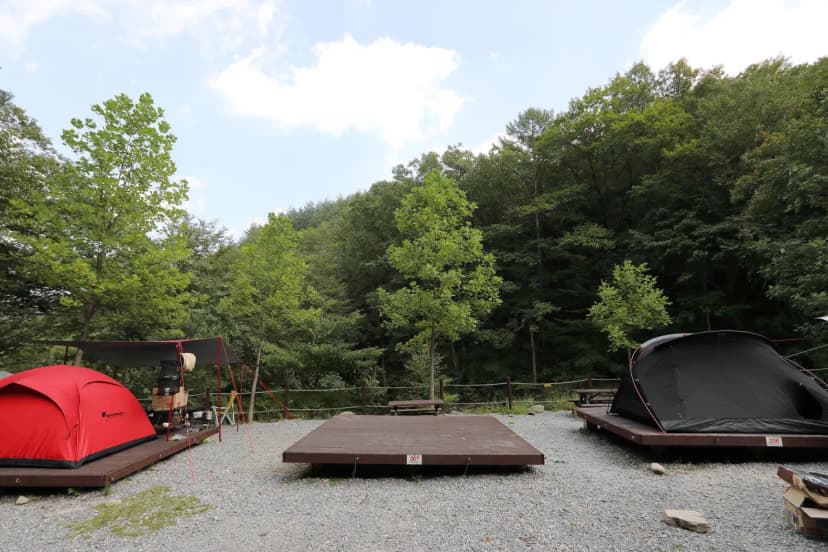 국립황정산자연휴양림캠핑장 사진 11