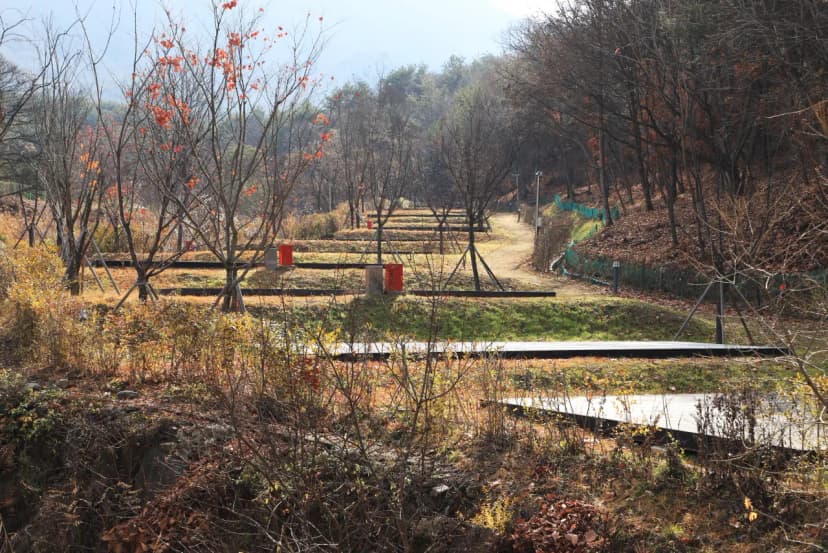 국토정중앙천문대야영장 사진 5