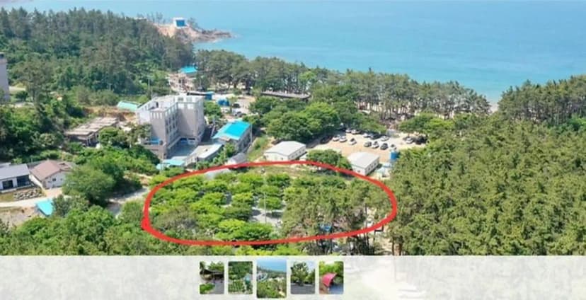굼벵이캠핑장 사진 3