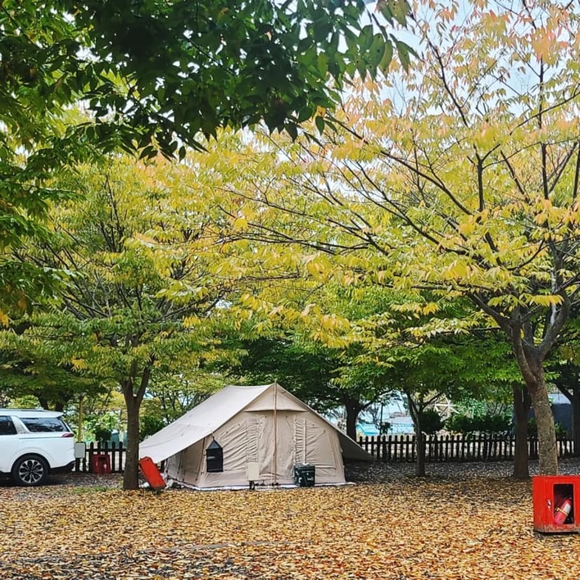 굼벵이캠핑장 사진 7
