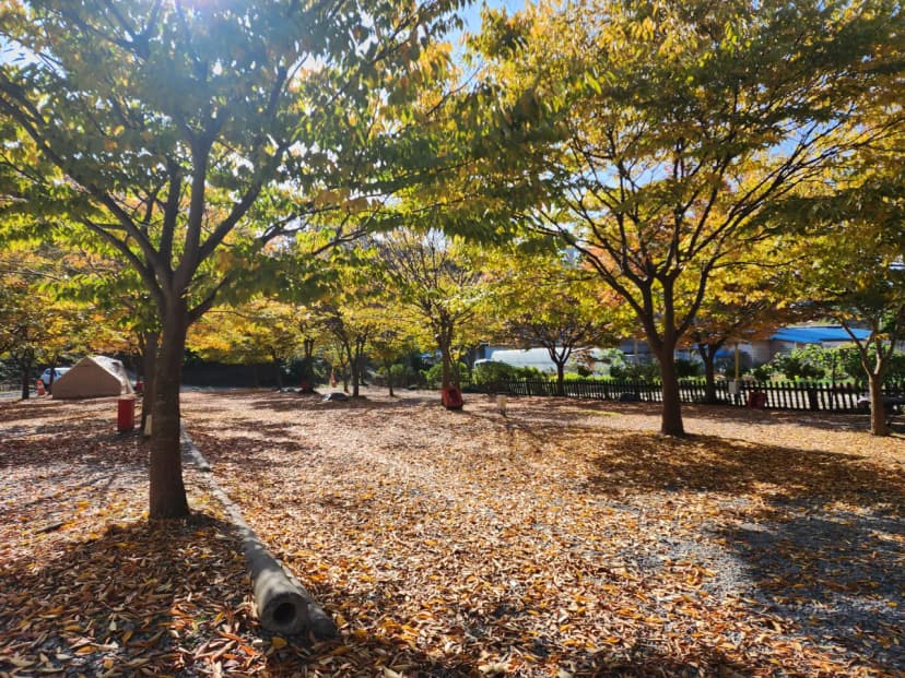 굼벵이캠핑장 사진 13