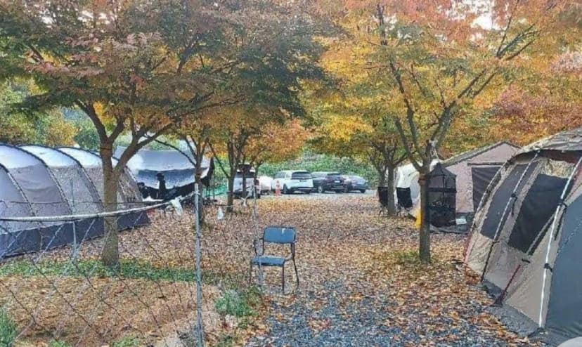 굼벵이캠핑장 사진 16